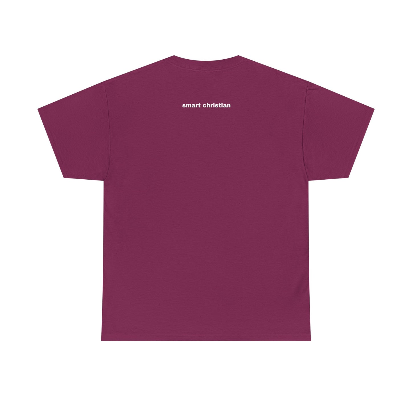 Biblical T- Shirt
